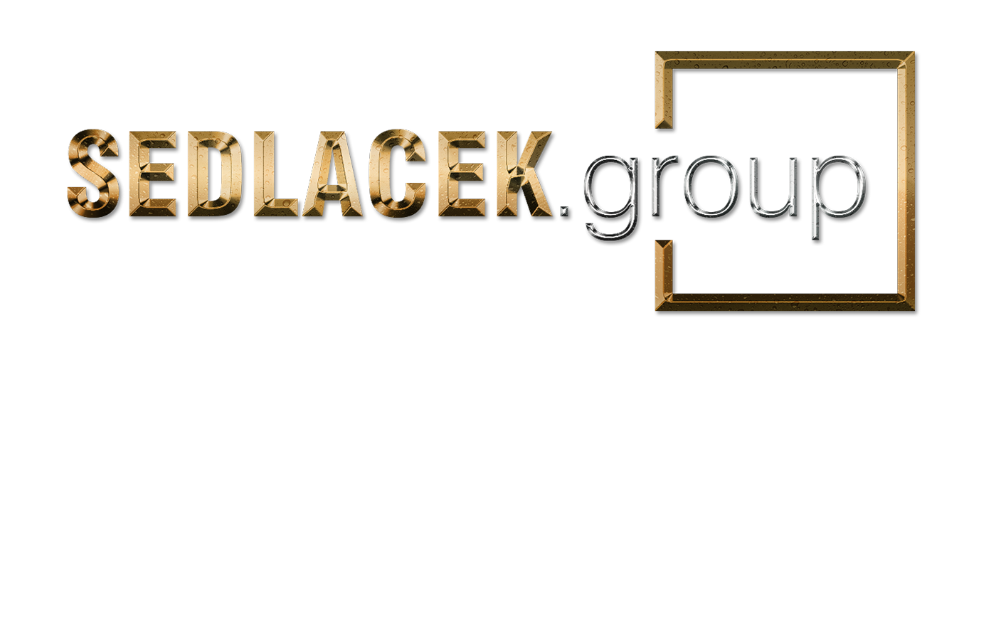 Sedlacek Group – Paragon Commercial